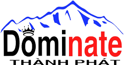 Giới thiệu về công ty tnhh Dominate Thành Phát
