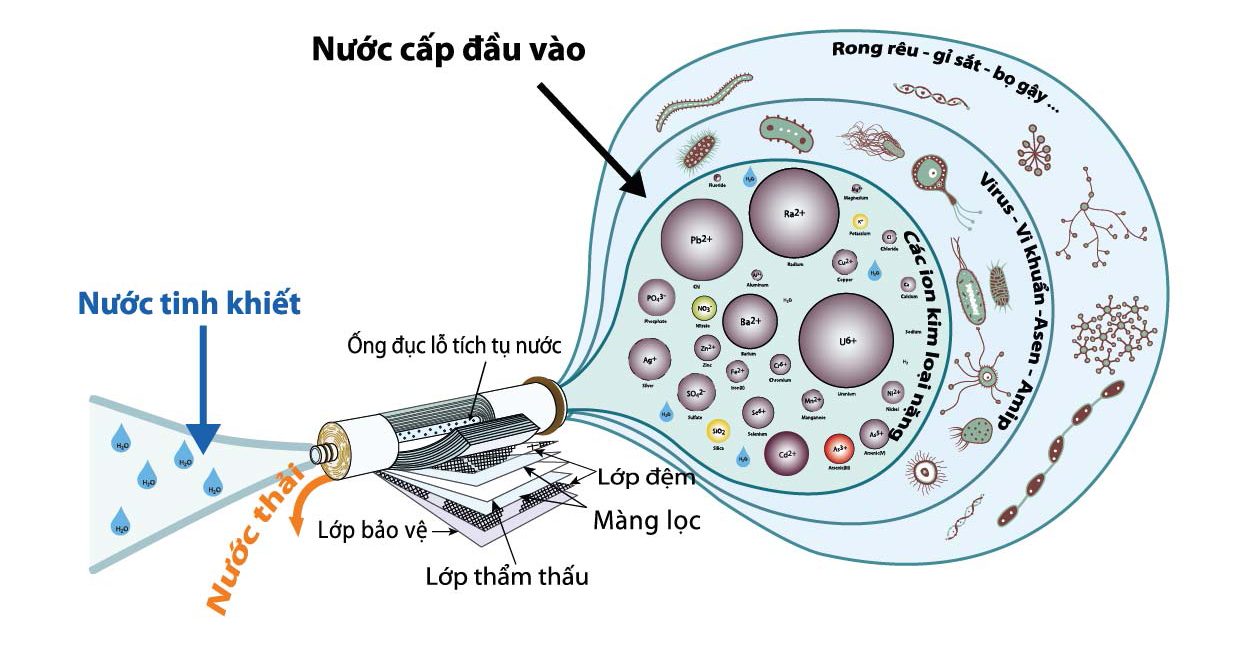 nguyen ly mang loc ro
